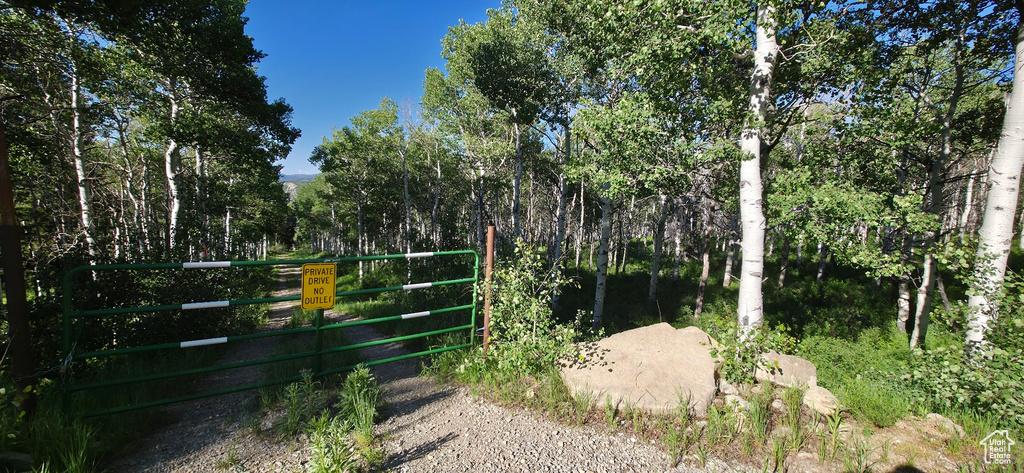 View of yard with a gate