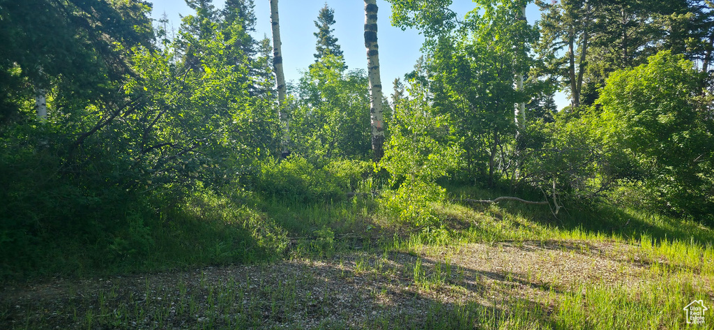 View of nature