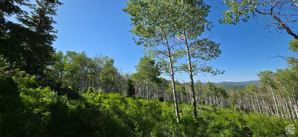 View of wooded area featuring a mountain view