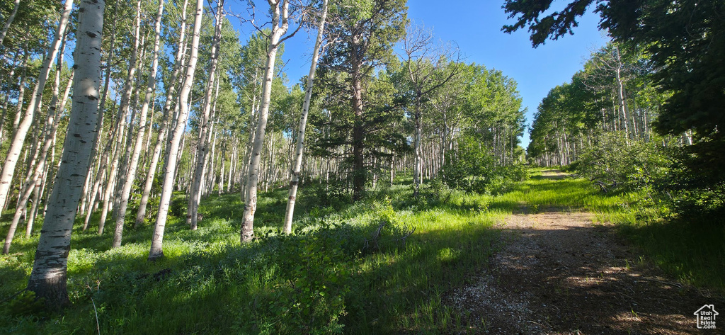 View of nature