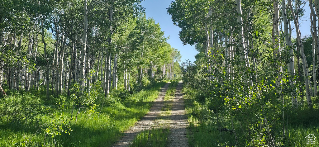 Surrounding community