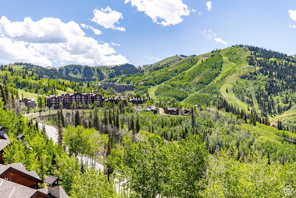 Mountain view featuring a forest