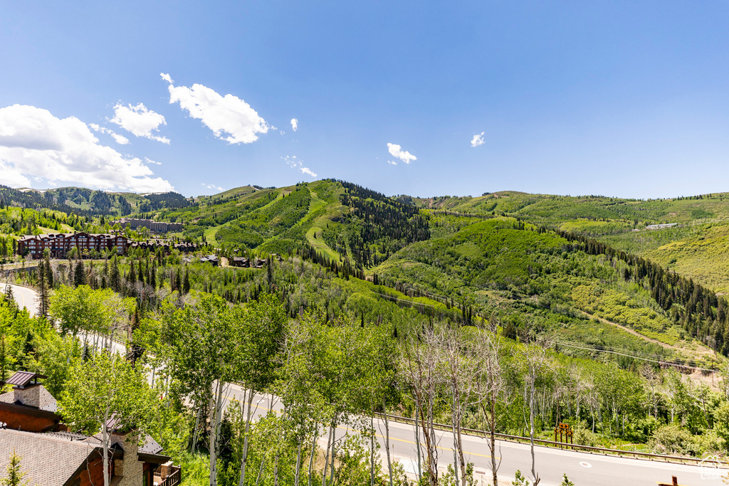 View of mountain backdrop with a heavily wooded area