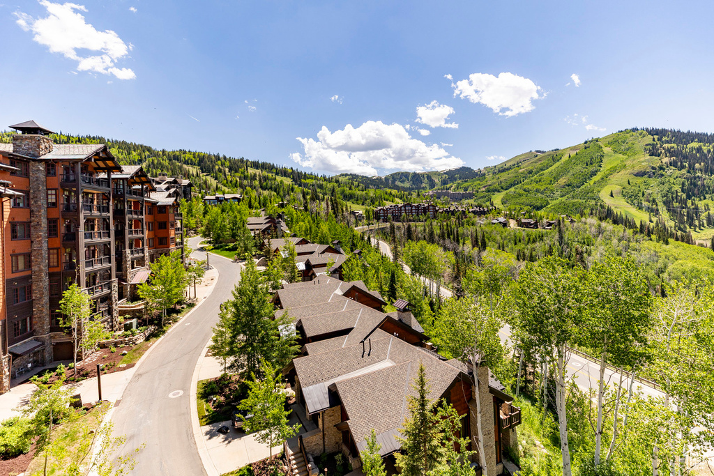 Bird\'s eye view of a forest and a mountain backdrop