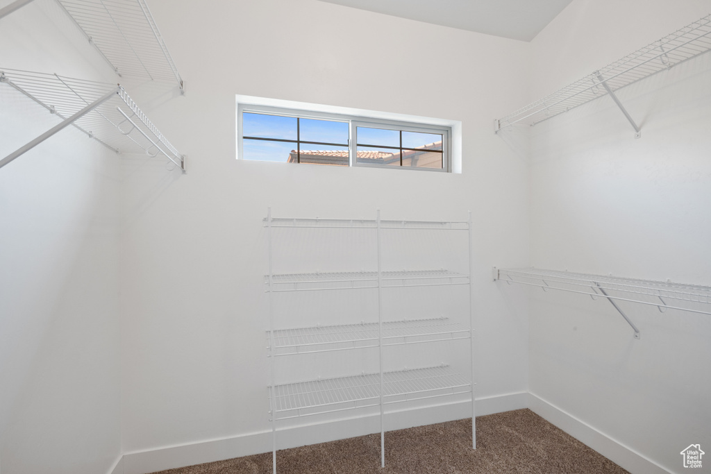 Walk in closet with carpet floors