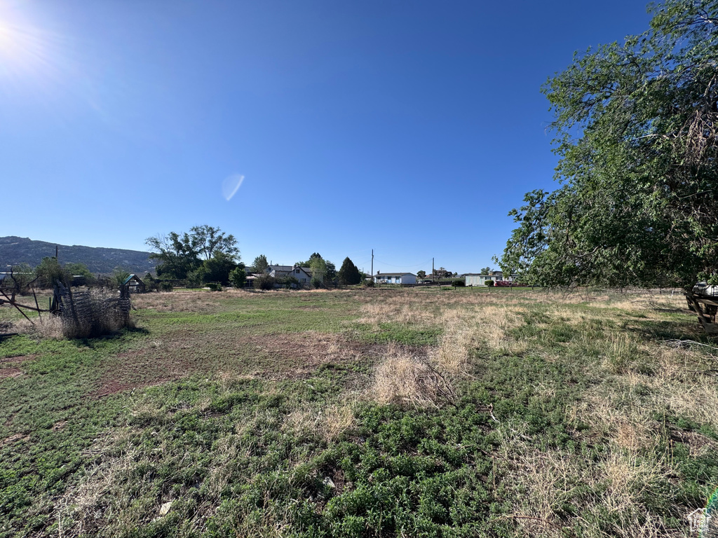 View of yard with a view of rural / pastoral area
