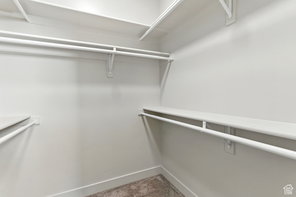 Spacious closet featuring carpet floors