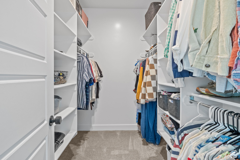 Walk in closet featuring carpet