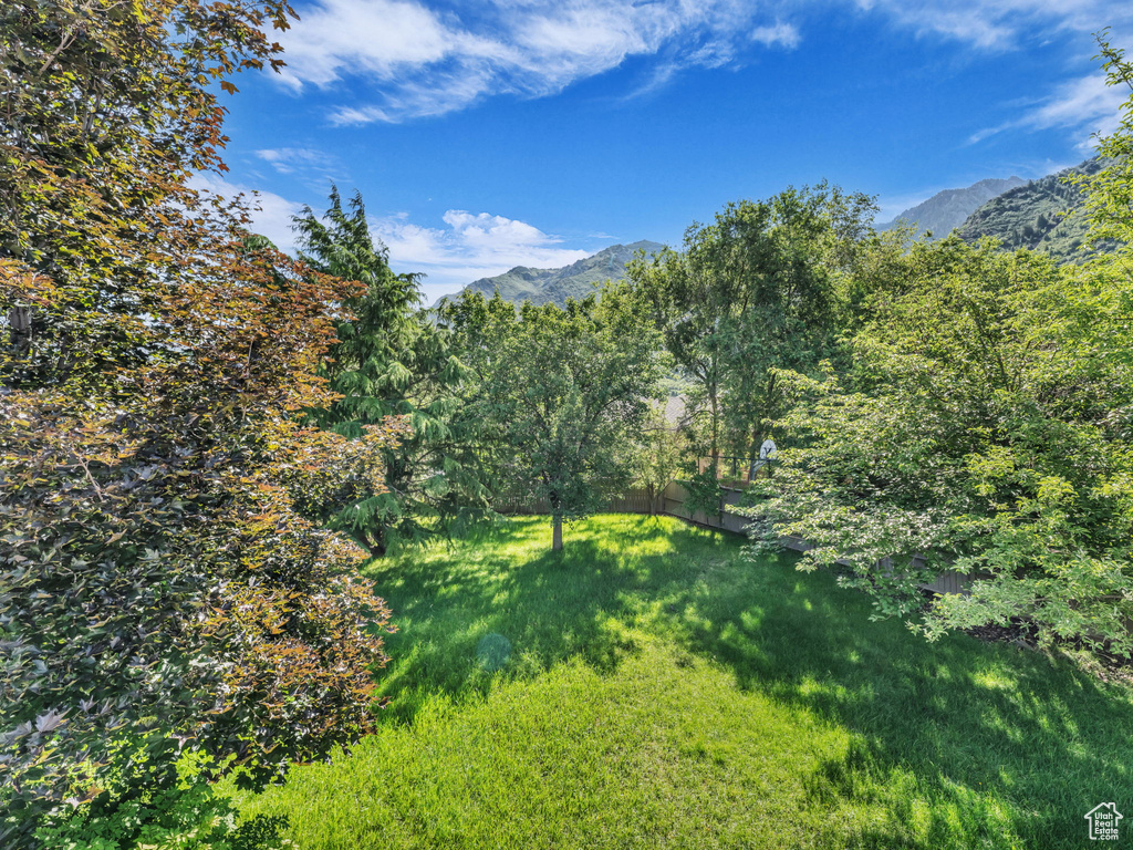 View of mountain background with a heavily wooded area