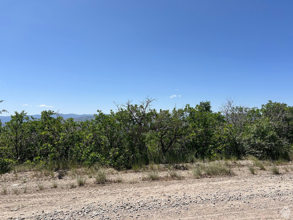 View of nature