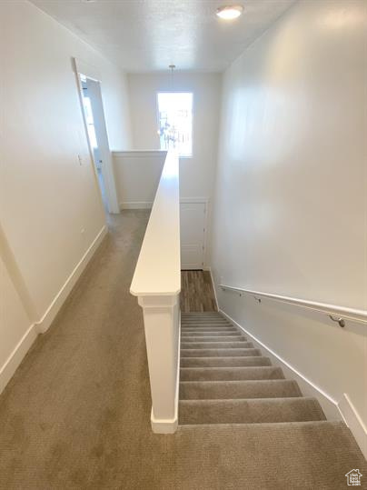 Stairway with carpet floors and baseboards