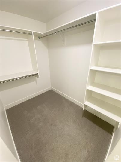 Walk in closet featuring dark carpet