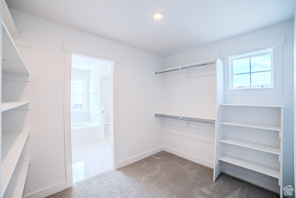 Spacious closet with carpet