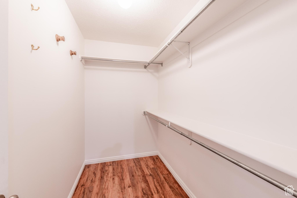 Spacious closet with light wood-style flooring