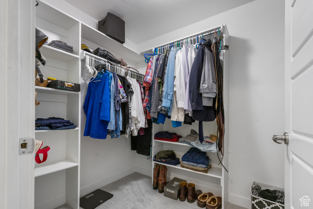 Spacious closet featuring carpet floors