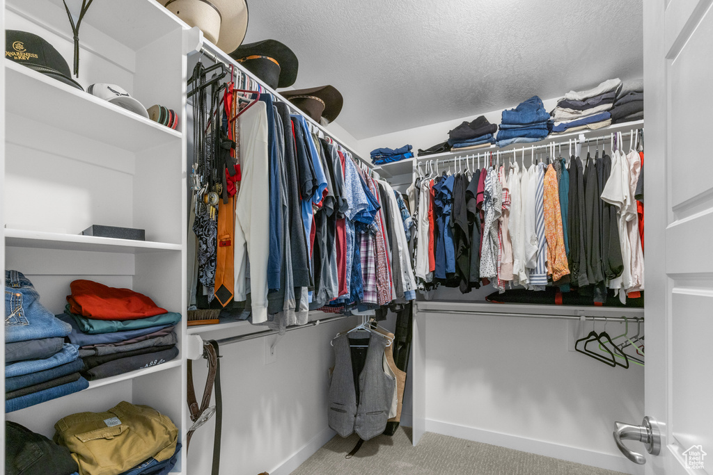 Spacious closet with carpet