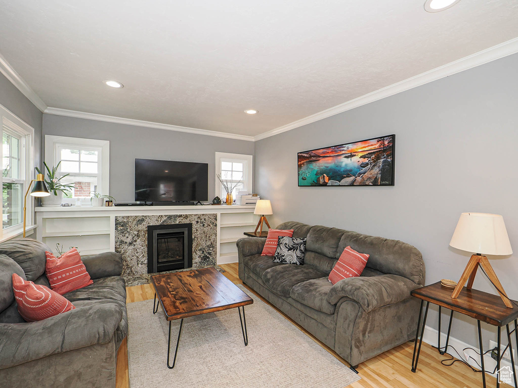 Living room with wood finished floors, crown molding, recessed lighting, and a fireplace