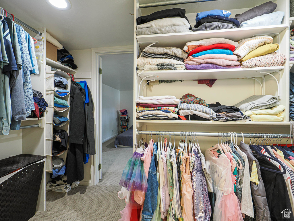 Walk in closet with carpet flooring