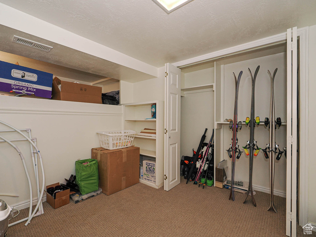 Basement featuring carpet