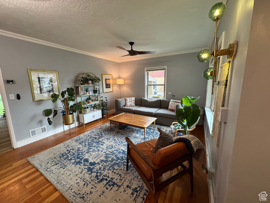 Living room with ornamental molding, wood finished floors, a ceiling fan, and a textured ceiling