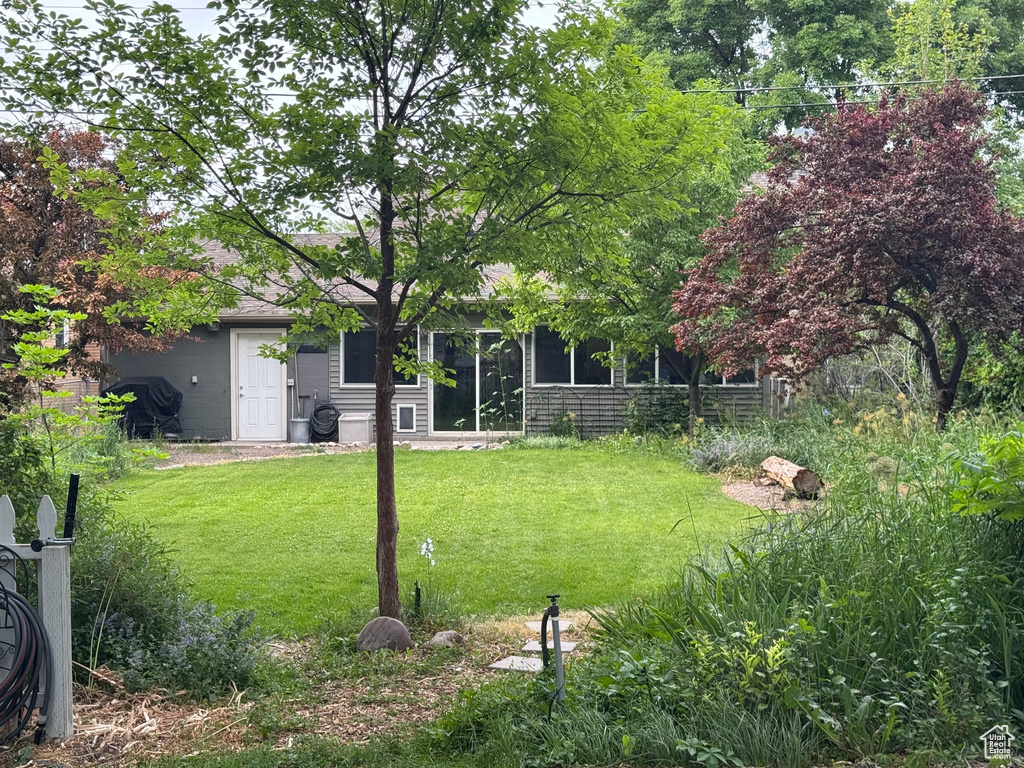 View of grassy yard