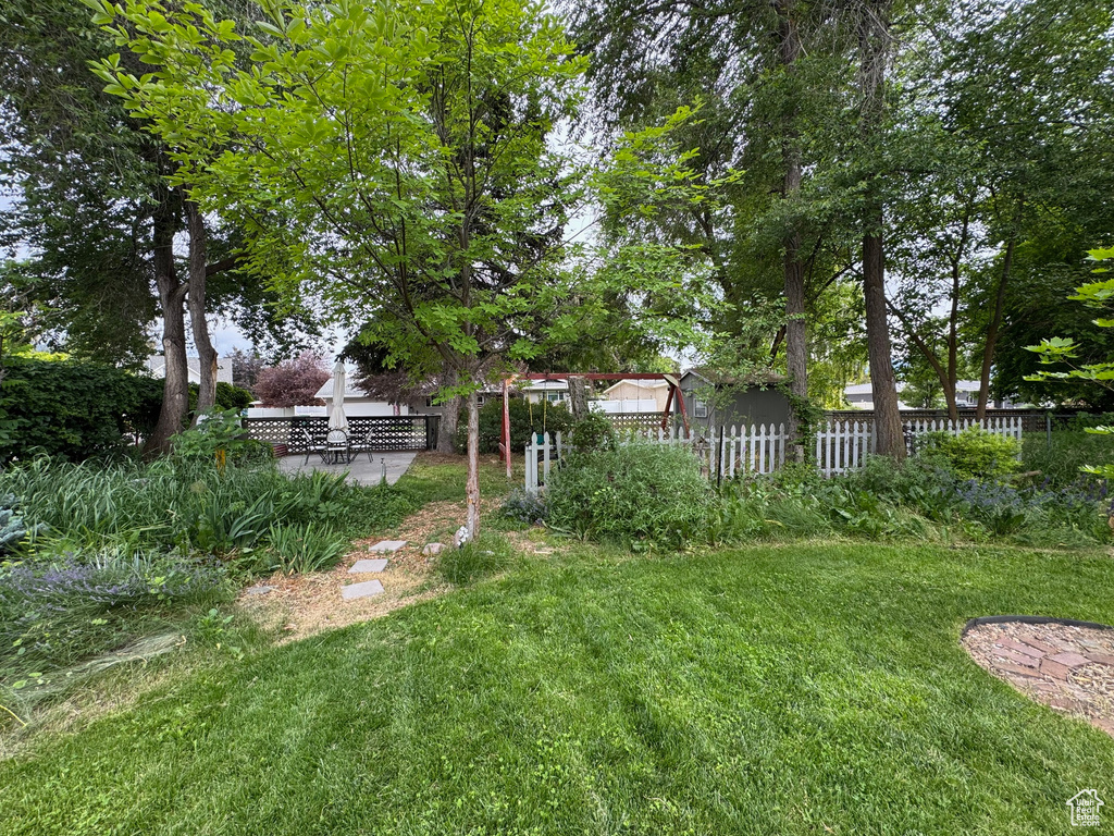 View of yard with a patio area