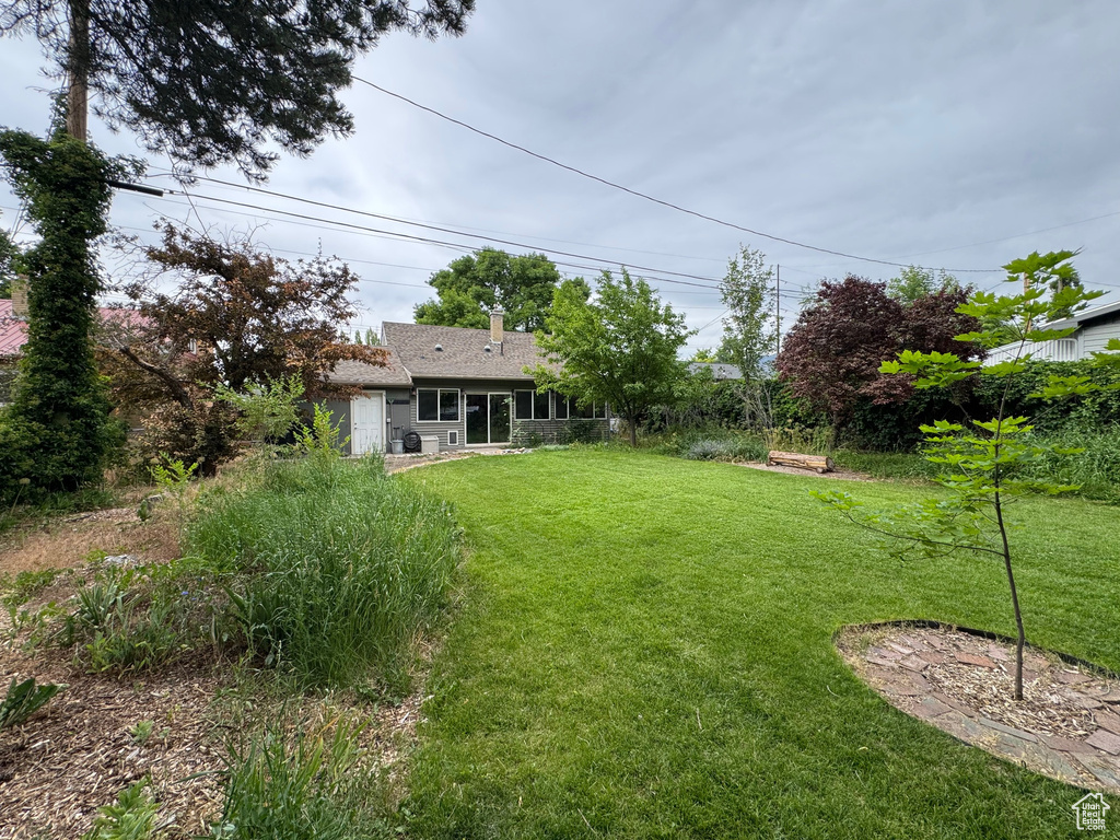 View of grassy yard