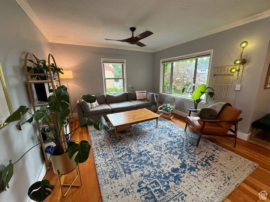 Living area with wood finished floors, ceiling fan, and ornamental molding