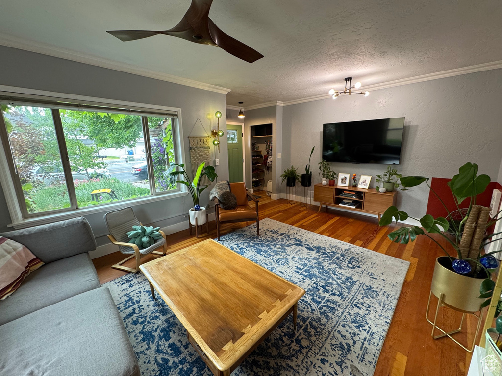 Living area featuring wood finished floors, ceiling fan, crown molding, and a chandelier