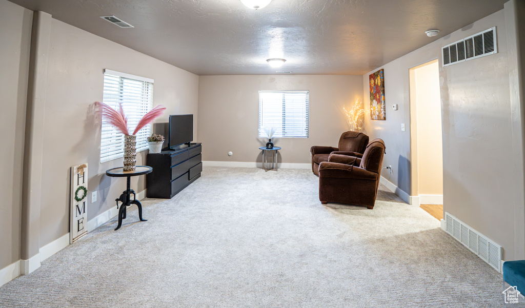 Living area featuring carpet