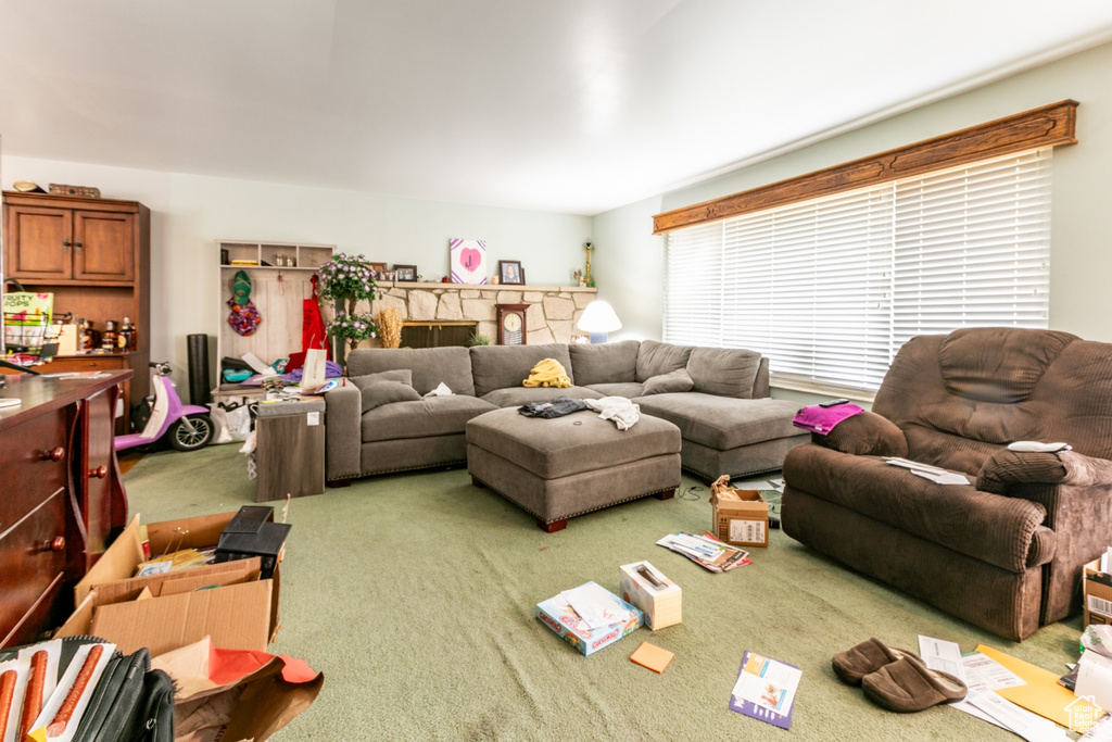 Living area featuring carpet floors