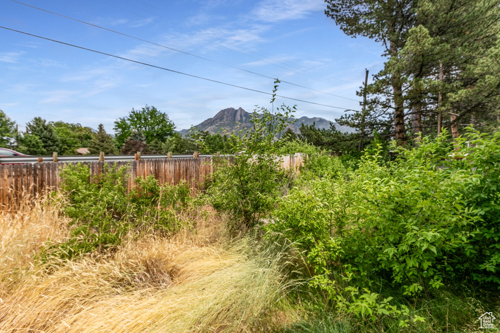 View of yard featuring a mountain view
