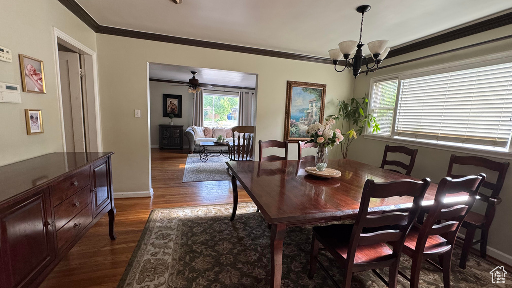 Dining space with healthy amount of natural light, dark wood-style floors, a chandelier, and crown molding