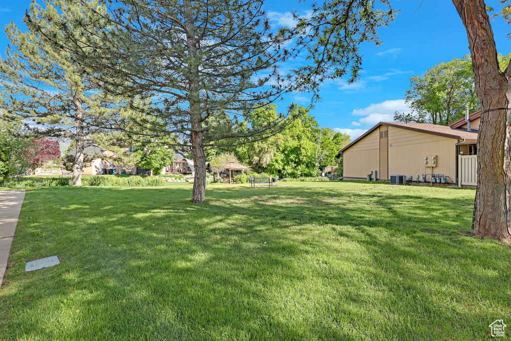 View of grassy yard