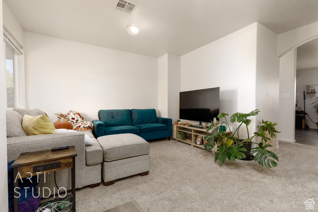 Living room with arched walkways and carpet floors