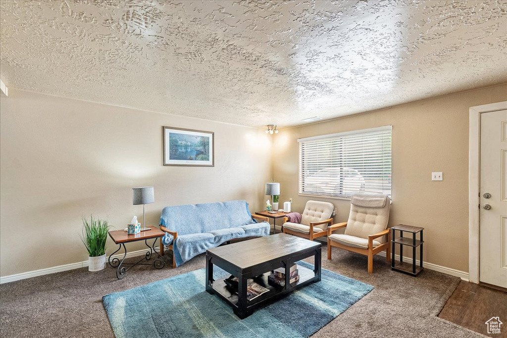 Living area with carpet and a textured ceiling