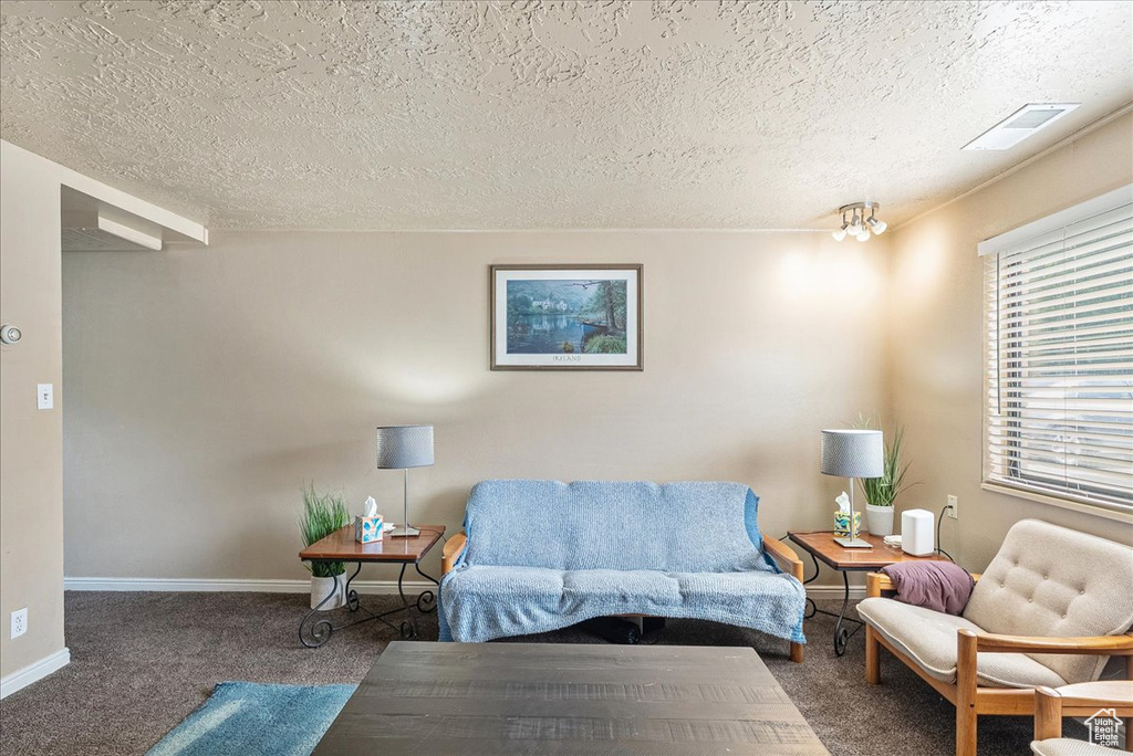 Living room featuring a textured ceiling and carpet
