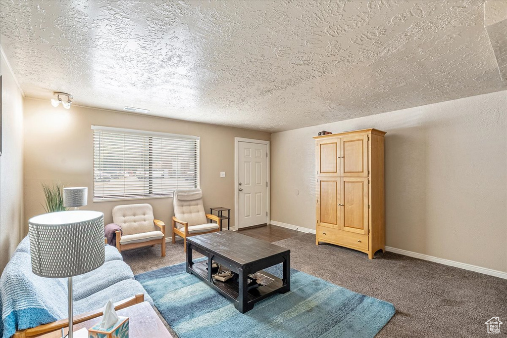Living room featuring carpet and a textured ceiling