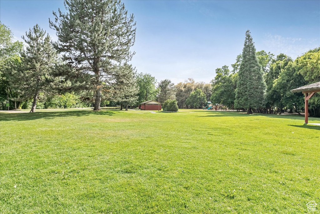 View of grassy yard featuring view of wooded area