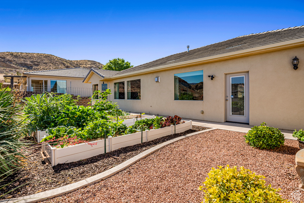 Back of house featuring a vegetable garden, stucco siding, and a mountain view