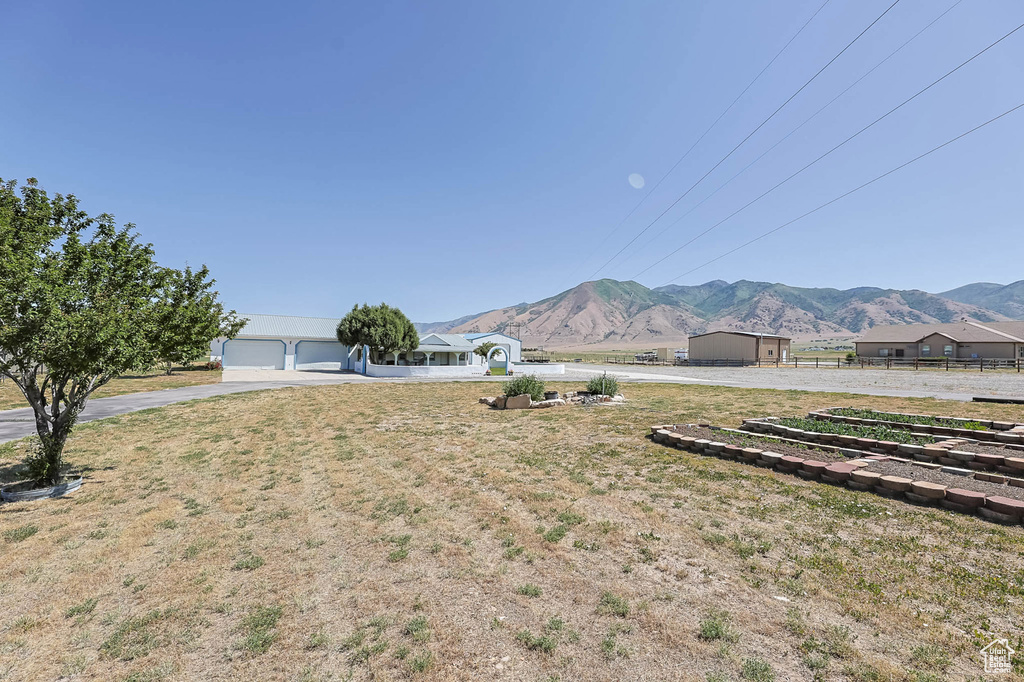 View of yard featuring a mountain view and driveway