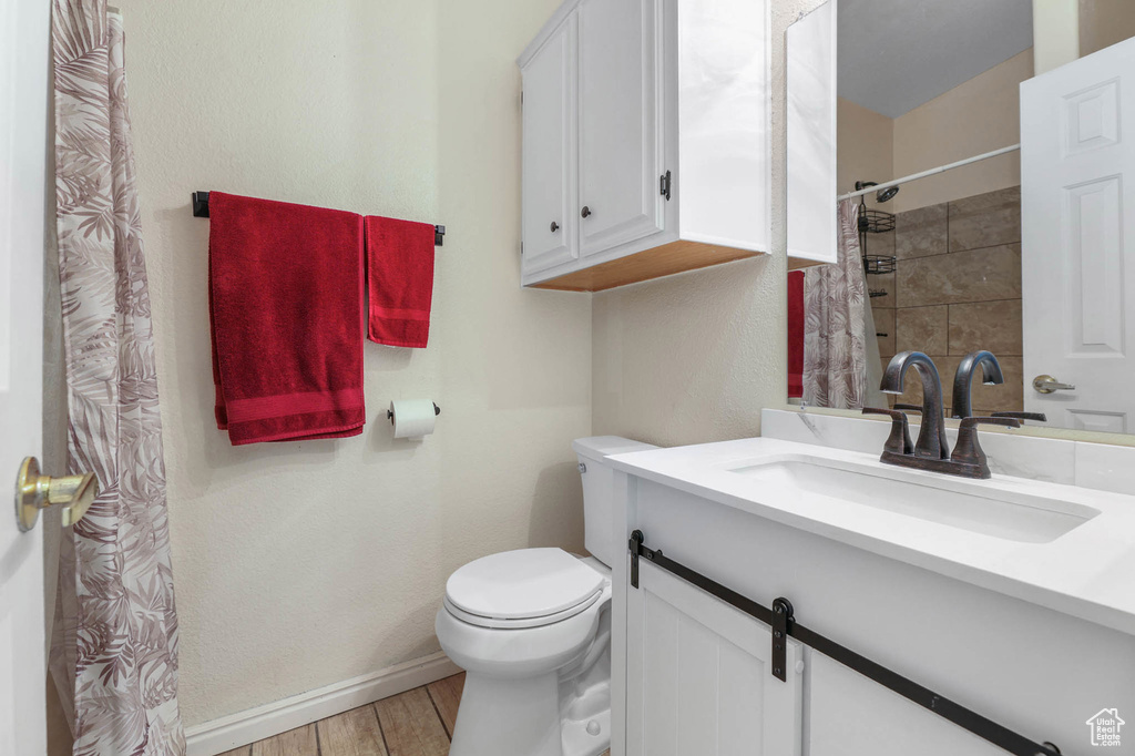 Full bathroom with vanity, wood finished floors, and a shower with shower curtain