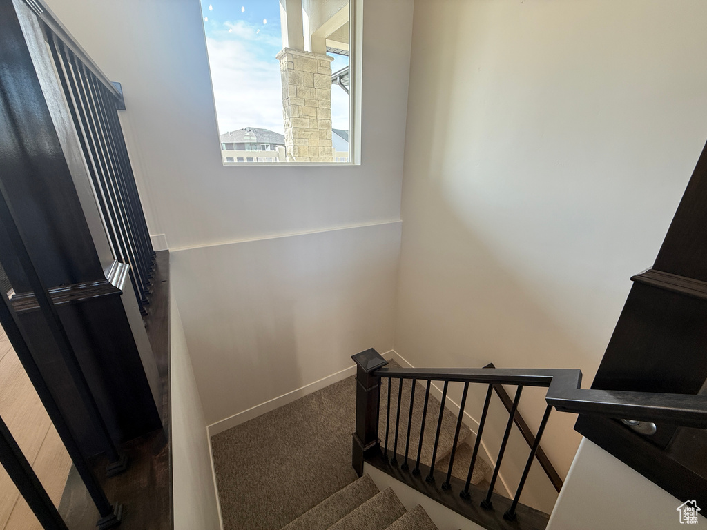 Stairs with carpet flooring