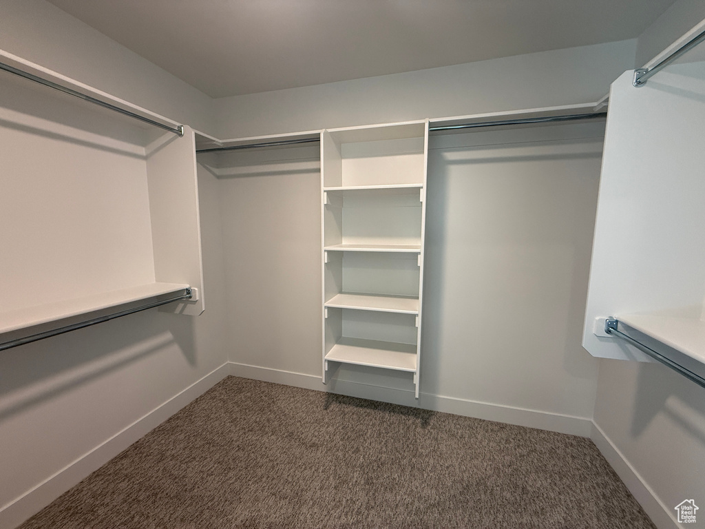 Walk in closet featuring dark colored carpet