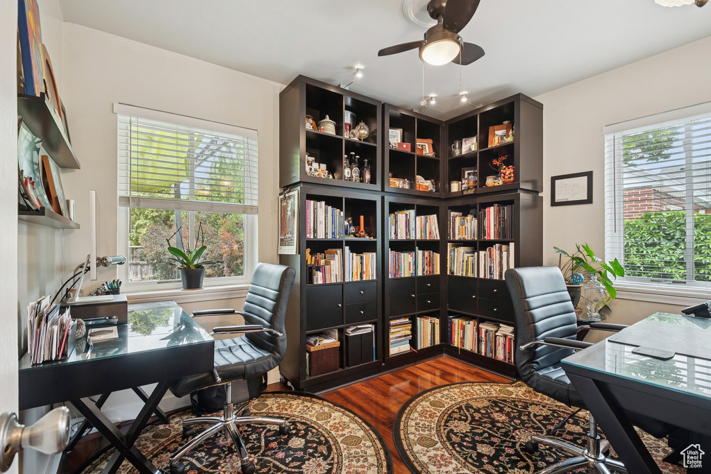 Home office featuring a ceiling fan, plenty of natural light, and wood finished floors