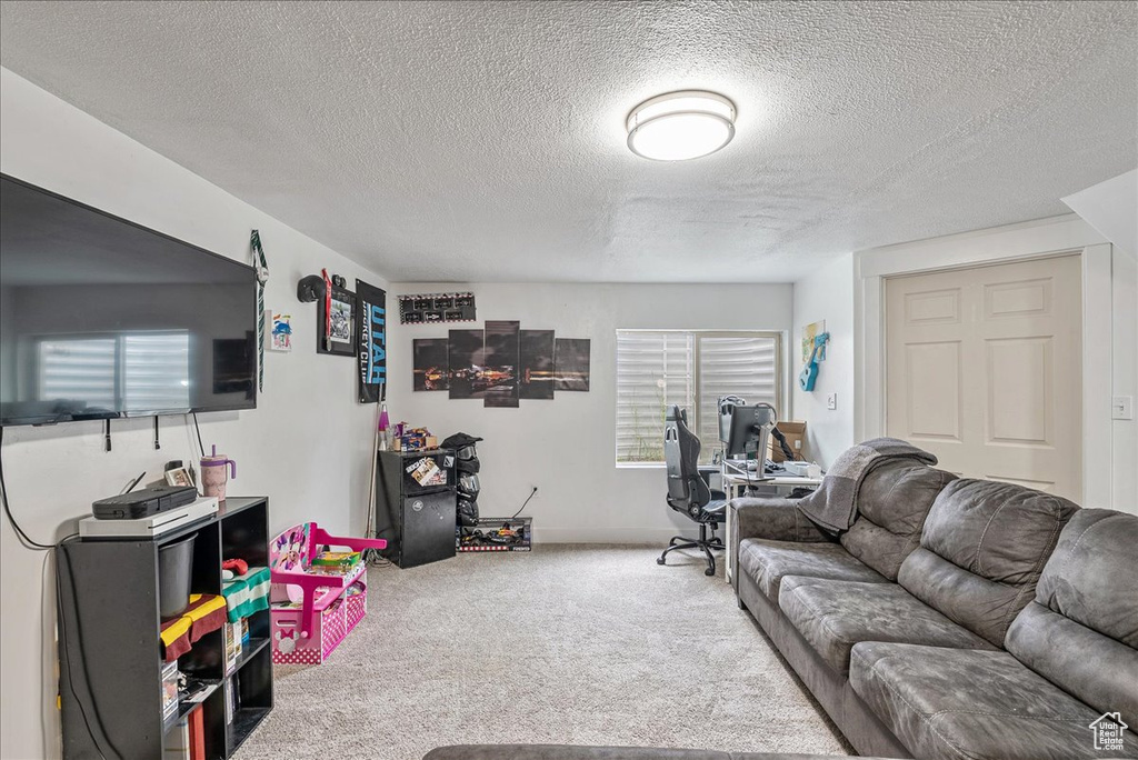 Living area featuring carpet flooring and a textured ceiling