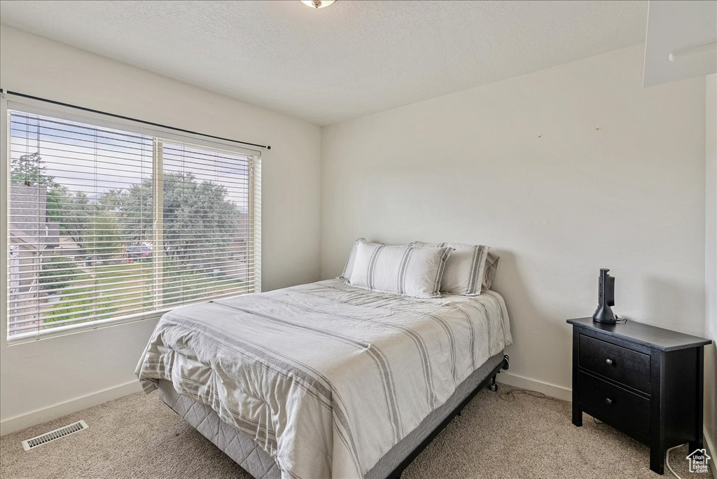 Bedroom with light carpet