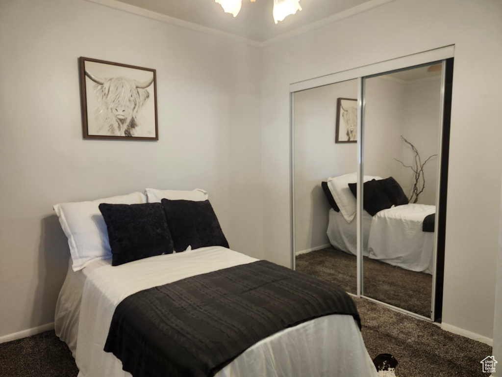 Bedroom featuring carpet flooring, a closet, and crown molding