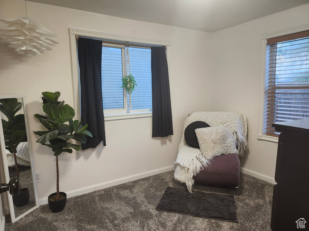 Sitting room featuring carpet and plenty of natural light