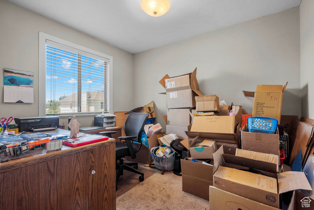 View of carpeted office space